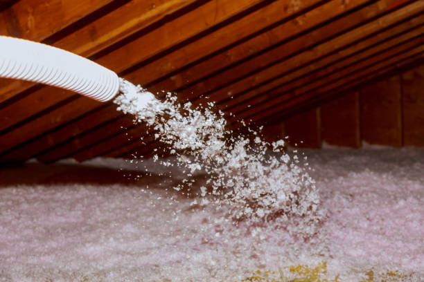 Best Cellulose Insulation in Eaton, IN