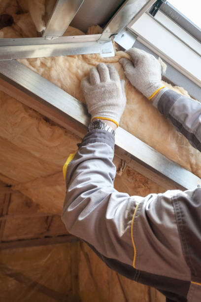 Best Geographic-Specific Insulation Services in Eaton, IN