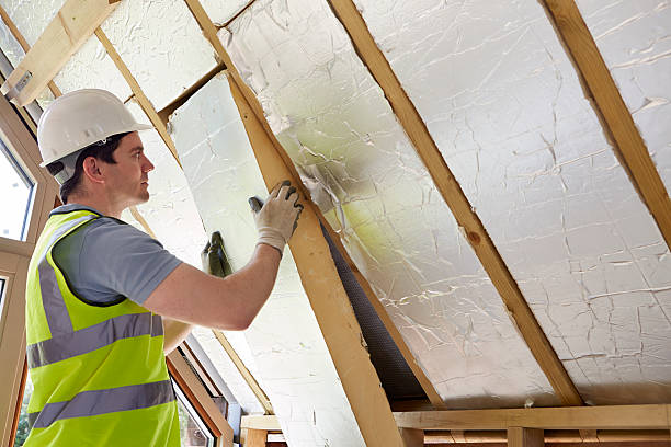 Best Residential Insulation in Eaton, IN