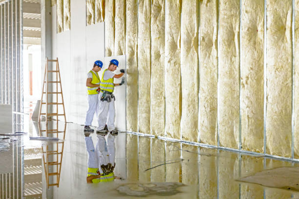 Best Insulation Maintenance and Repair in Eaton, IN